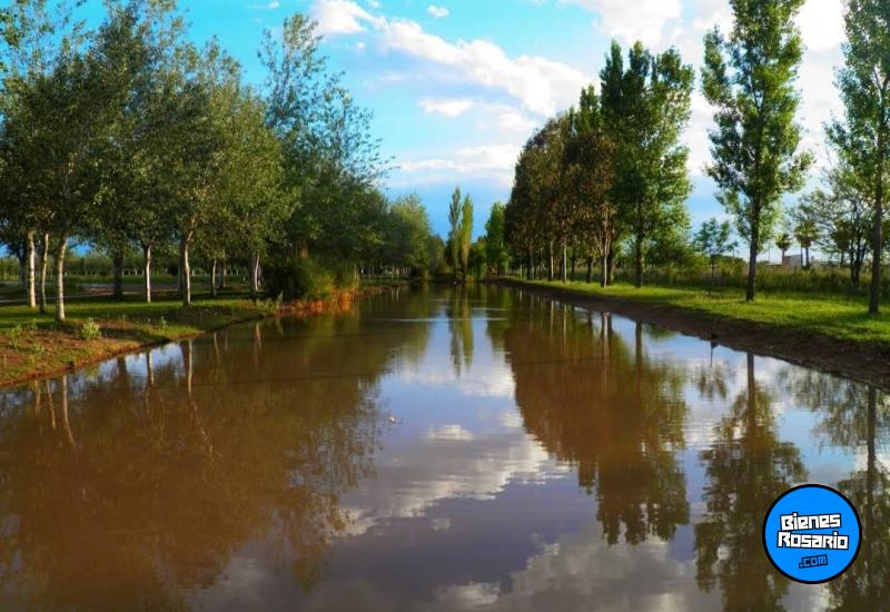 Terrenos - Pi�ero - Venta