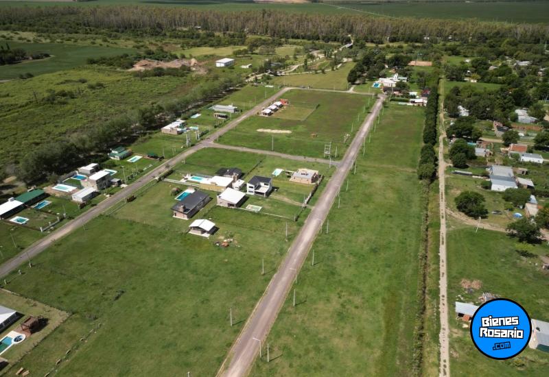 Terrenos - Oliveros - Venta