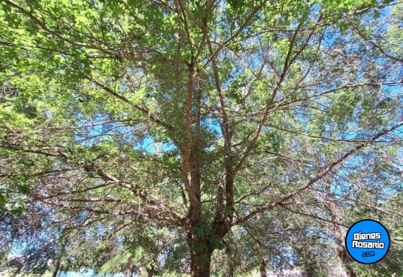 Terrenos - Rosario - Venta