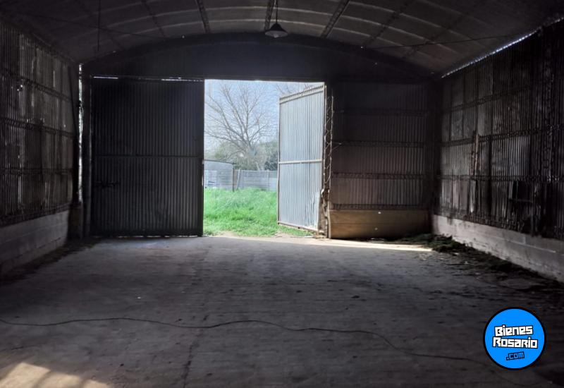 Galpones / Depósitos - Oliveros - Venta