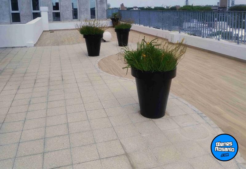 Departamentos - Rosario -  Alquiler