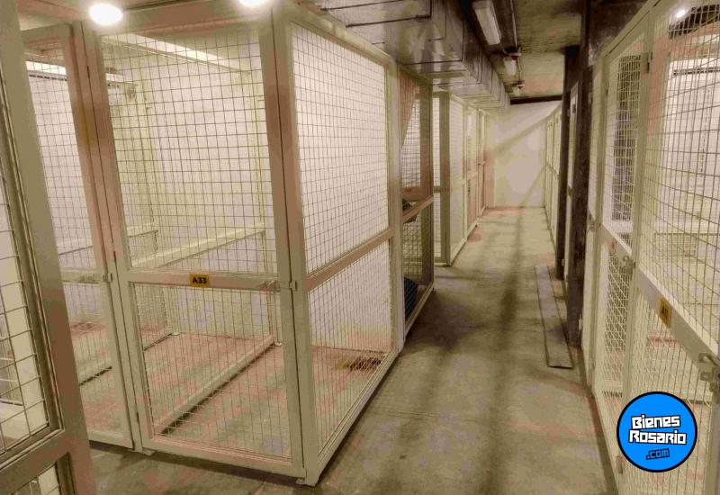 Departamentos - Rosario -  Alquiler