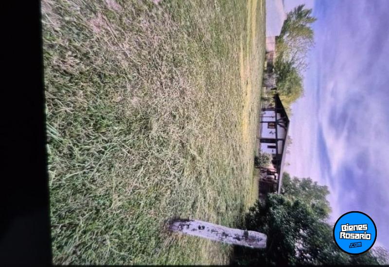 Terrenos - Melincue - Venta