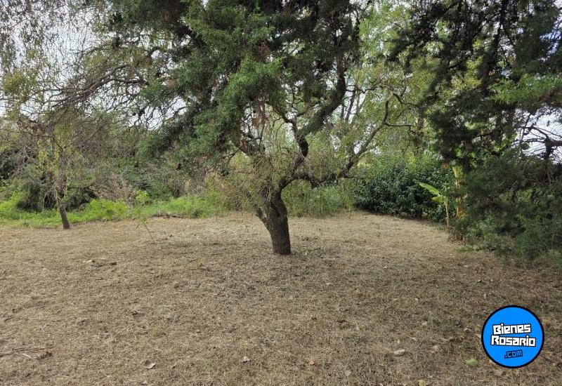 Casas - Melincue - Venta