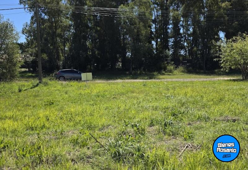 Terrenos - Melincue - Venta