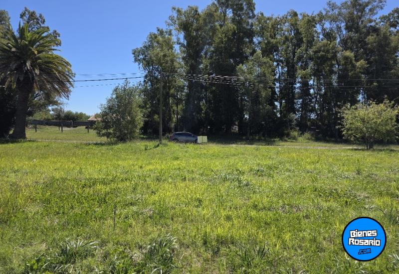 Terrenos - Melincue - Venta