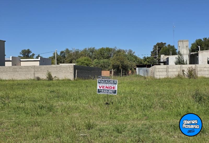 Terrenos - Melincue - Venta