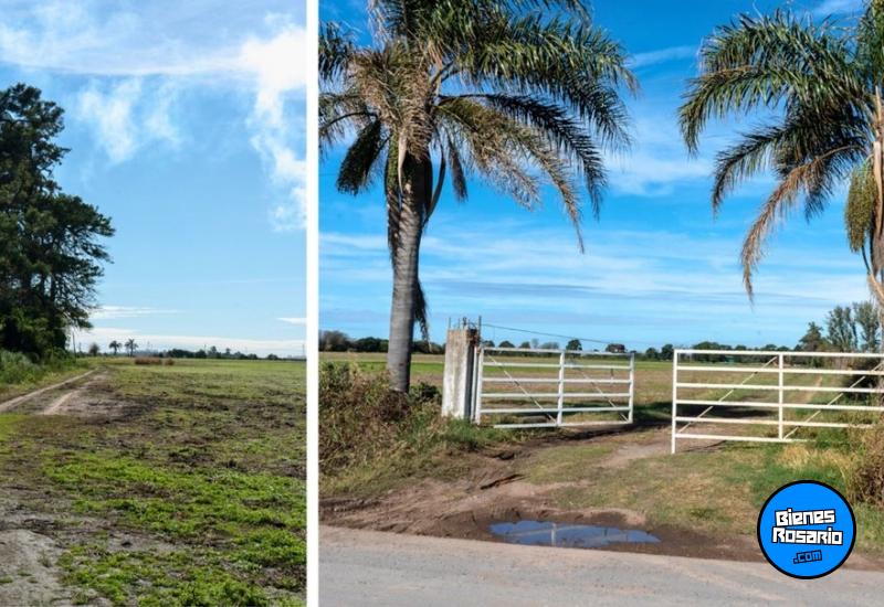 Campos - San Lorenzo - Venta