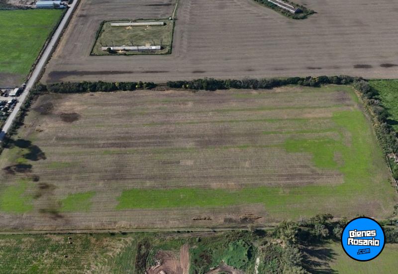 Campos - San Lorenzo - Venta