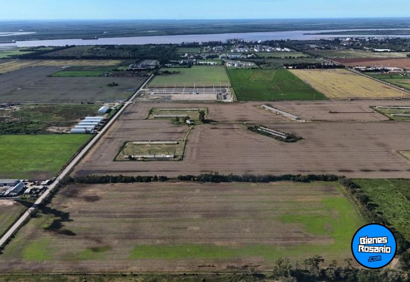 Campos - San Lorenzo - Venta