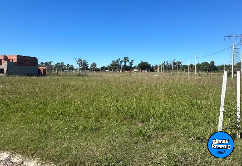 Terrenos - Ibarlucea - Venta