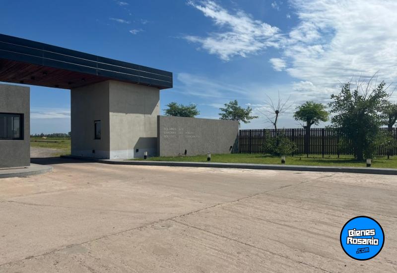 Terrenos - Oliveros - Venta