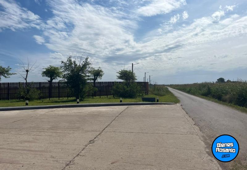 Terrenos - Oliveros - Venta