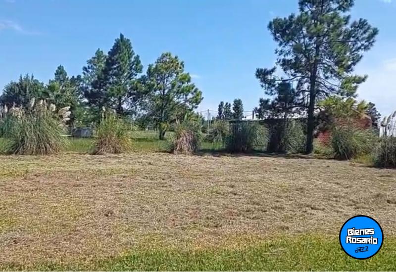 Terrenos - Oliveros - Venta