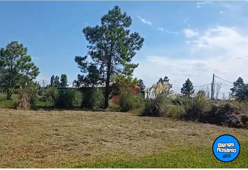 Terrenos - Oliveros - Venta