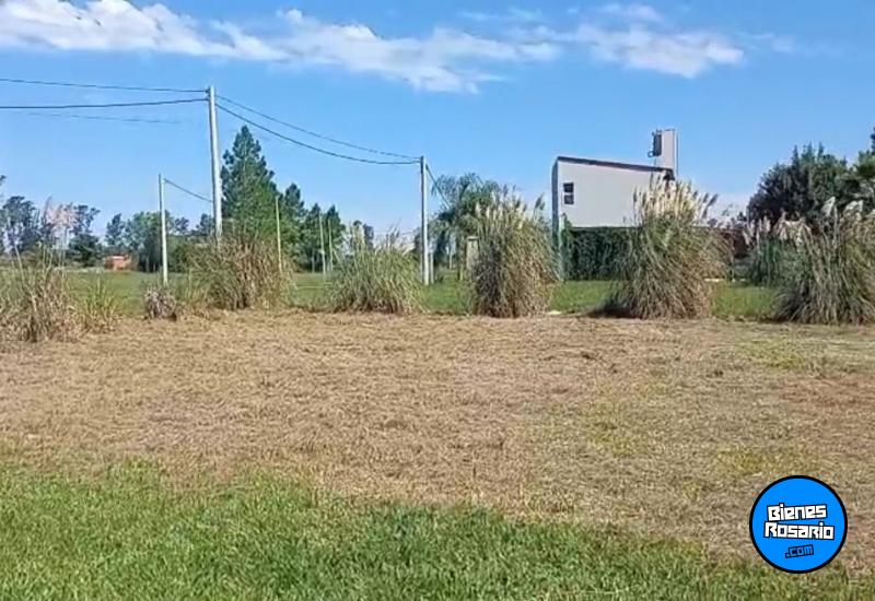 Terrenos - Oliveros - Venta