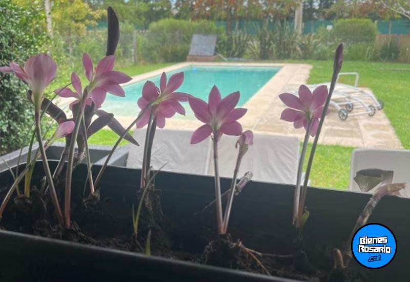 Casas - Funes - Venta