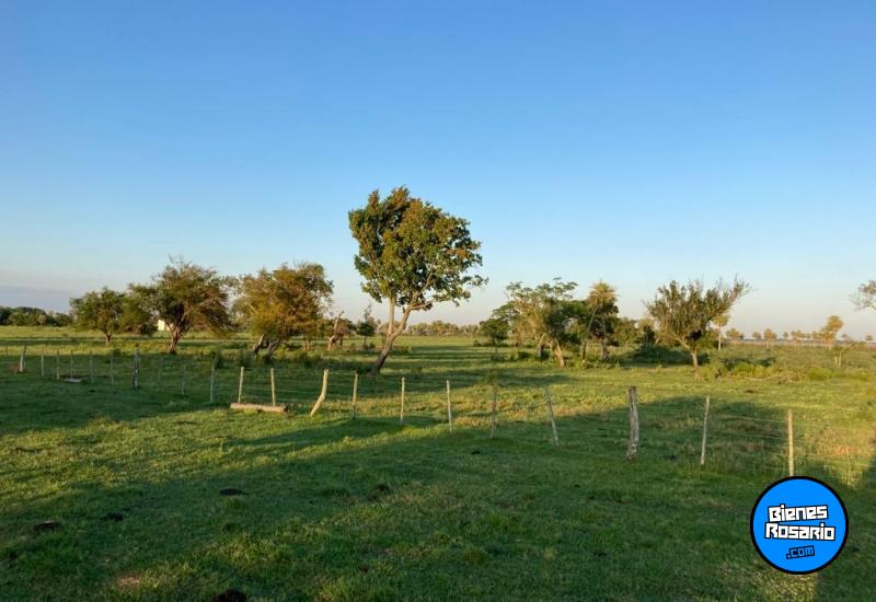 Campos - Otra Ciudad - Venta