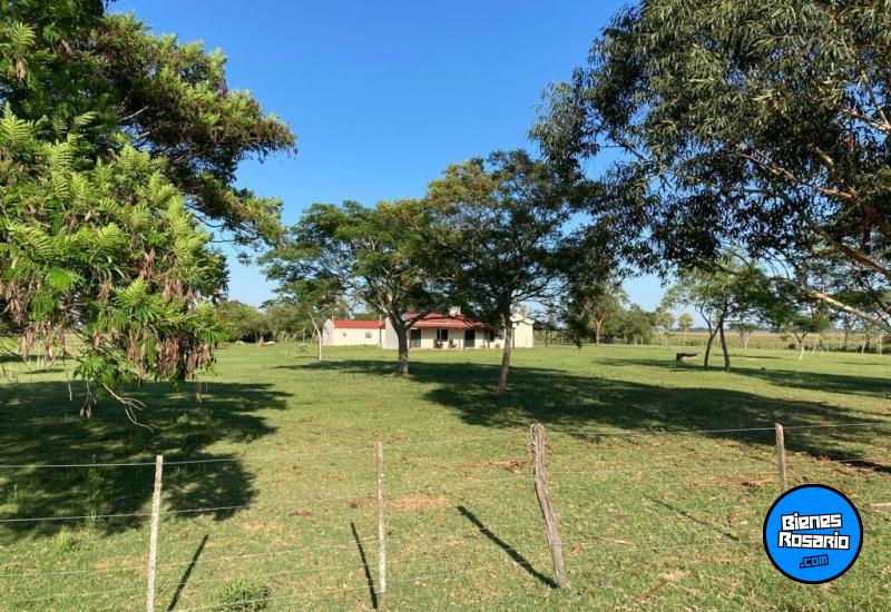 Campos - Otra Ciudad - Venta