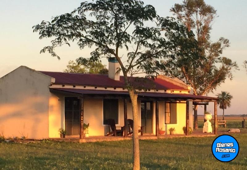 Campos - Otra Ciudad - Venta