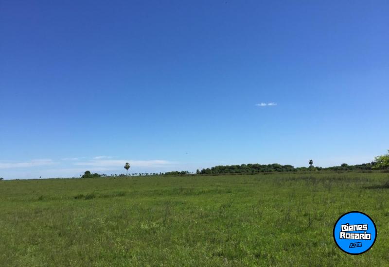 Campos - Otra Ciudad - Venta