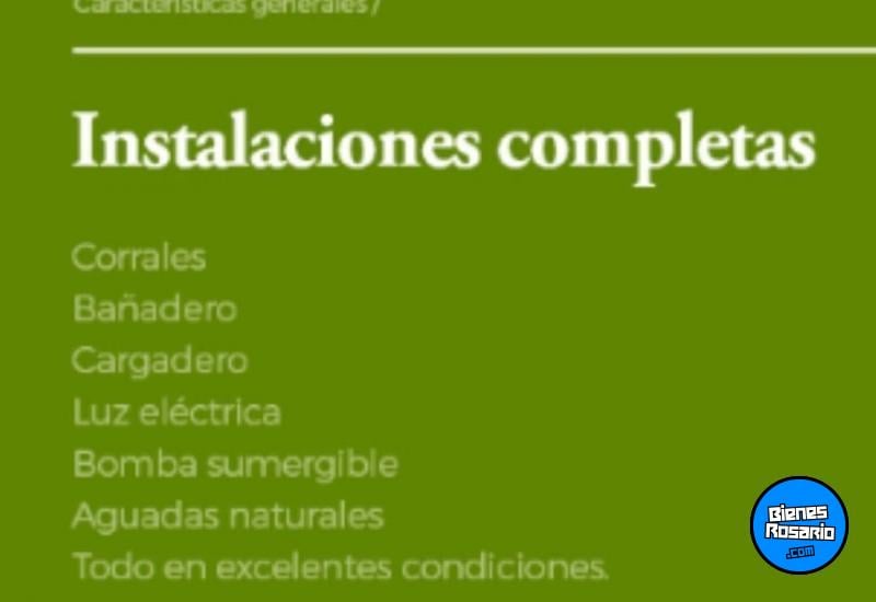 Campos - Otra Ciudad - Venta