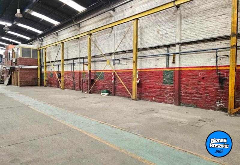 Galpones / Depósitos - Rosario -  Alquiler