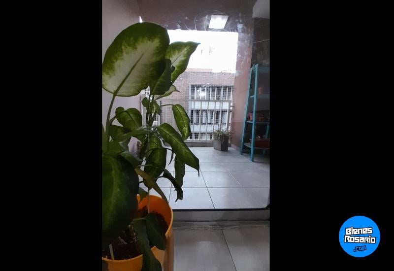 Departamentos - Rosario -  Alquiler