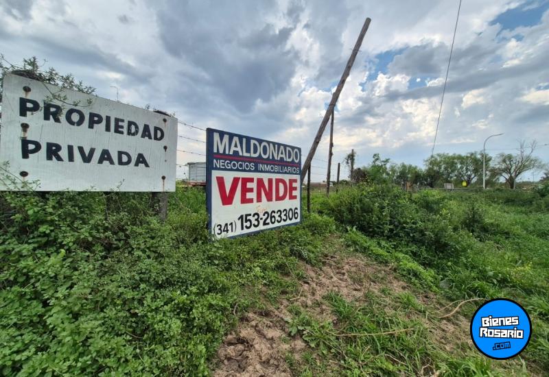 Campos - Venta