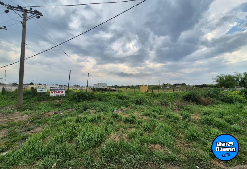 Campos - Venta
