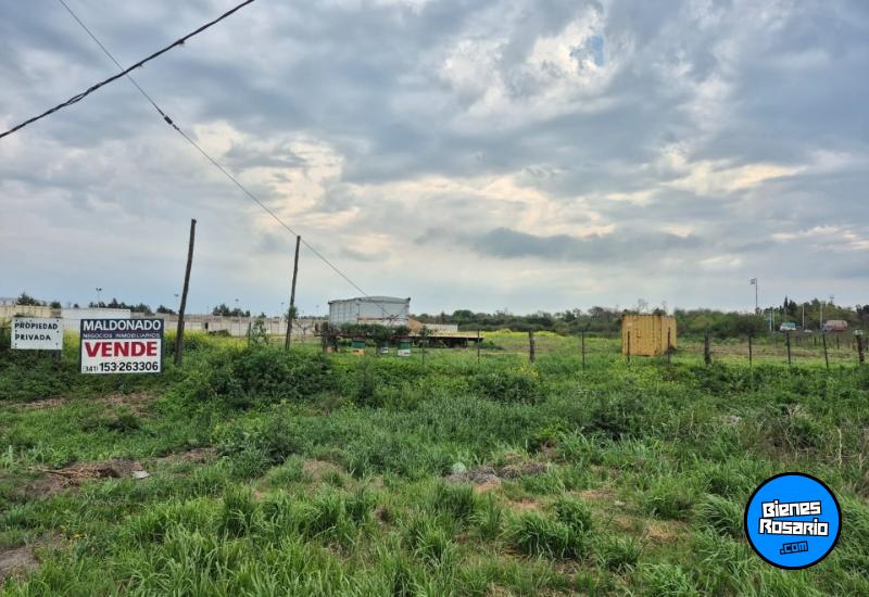 Campos - Venta