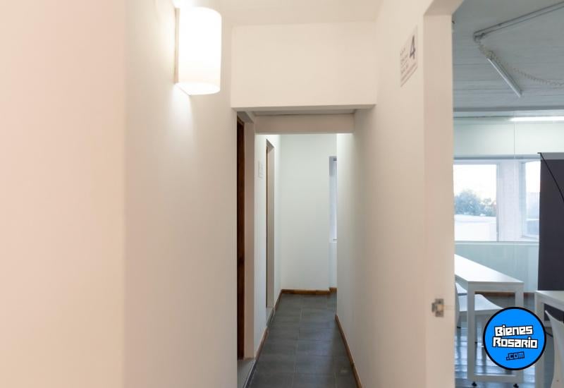 Locales - San Lorenzo - Venta