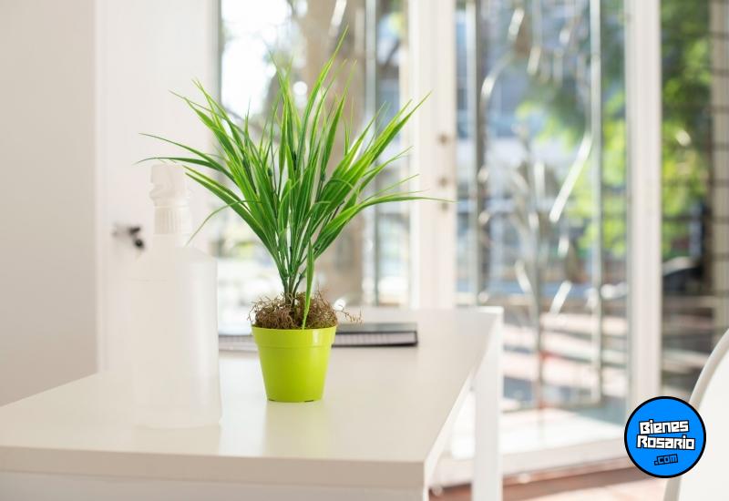 Locales - San Lorenzo - Venta