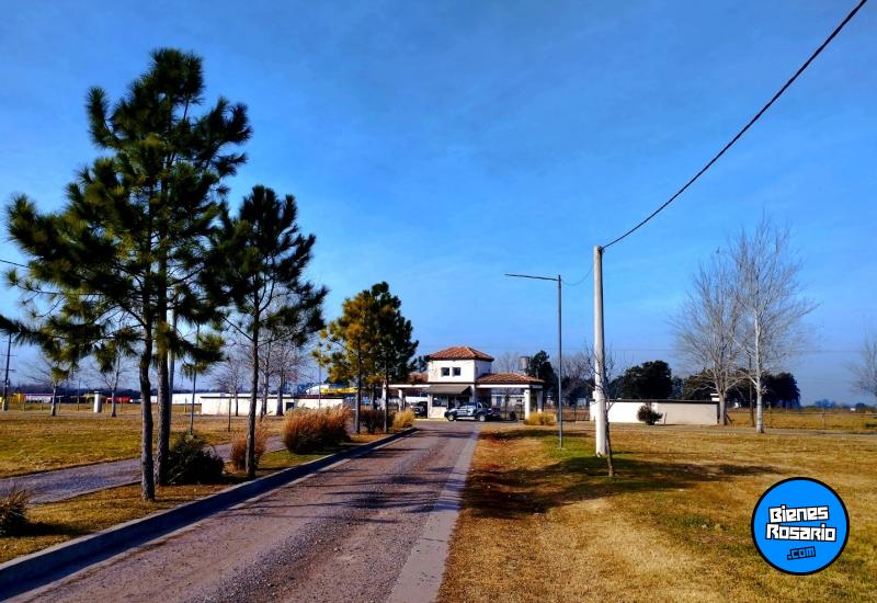 Terrenos - Piñero - Venta