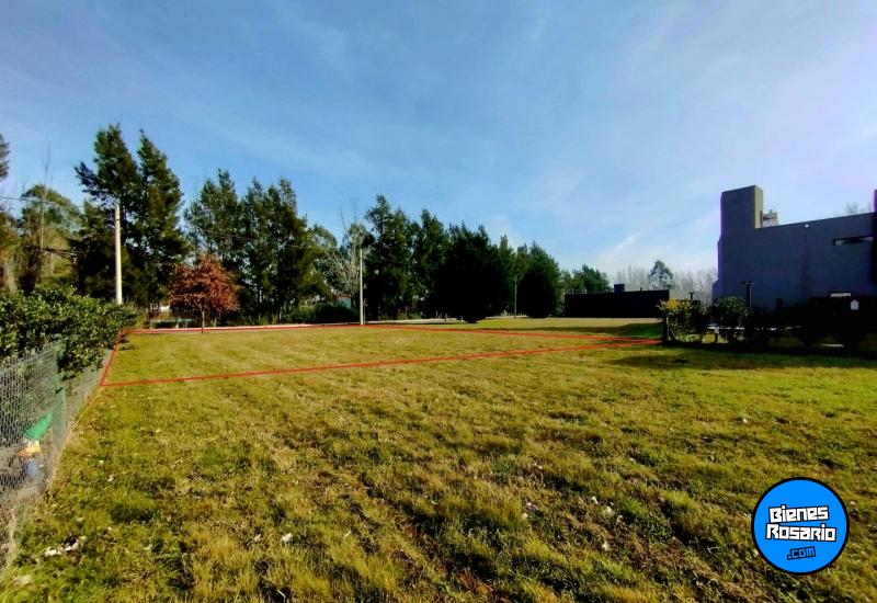 Terrenos - Piñero - Venta