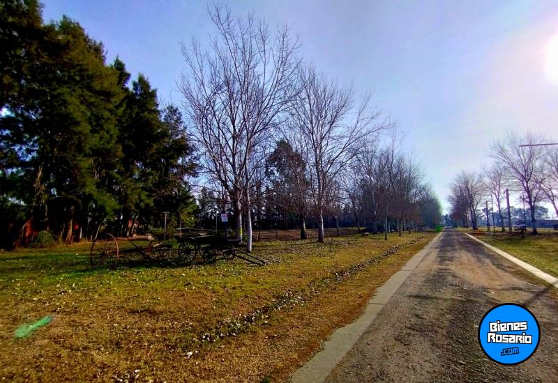 Terrenos - Piñero - Venta