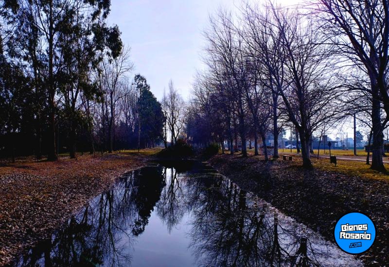 Terrenos - Piñero - Venta