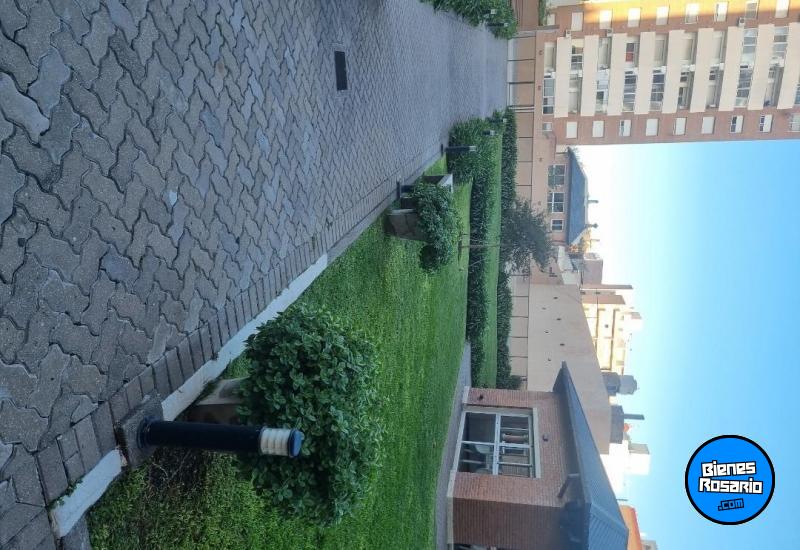 Departamentos - Rosario -  Alquiler