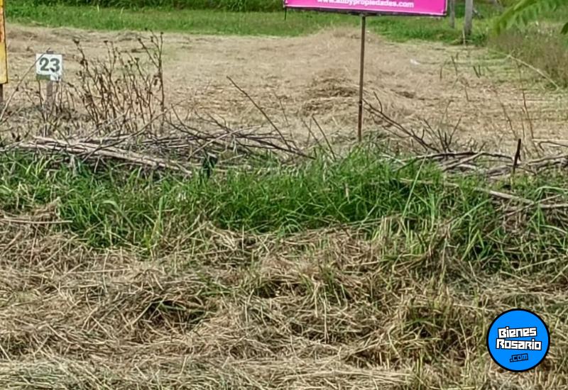 Terrenos - Alvarez - Venta