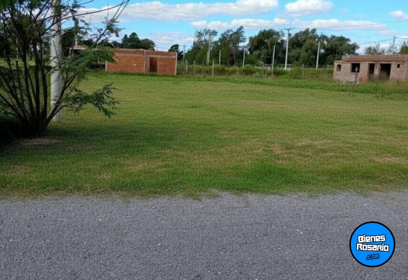 Terrenos - Alvarez - Venta