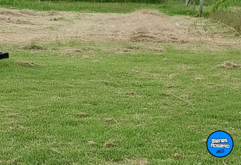 Terrenos - Alvarez - Venta