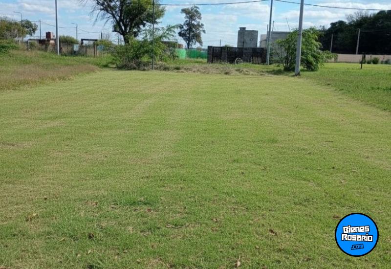 Terrenos - Alvarez - Venta
