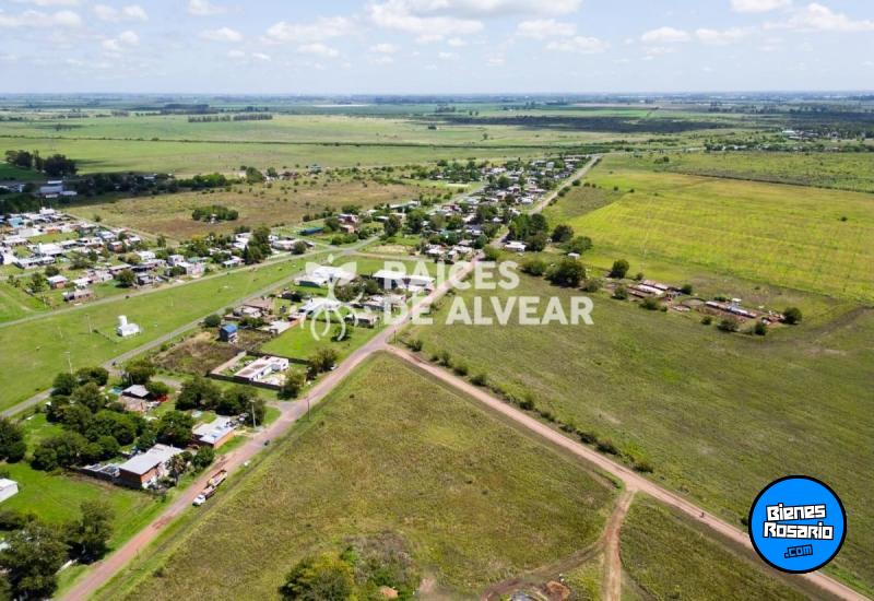 Terrenos - Alvear - Venta
