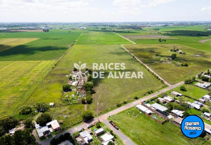 Terrenos - Alvear - Venta