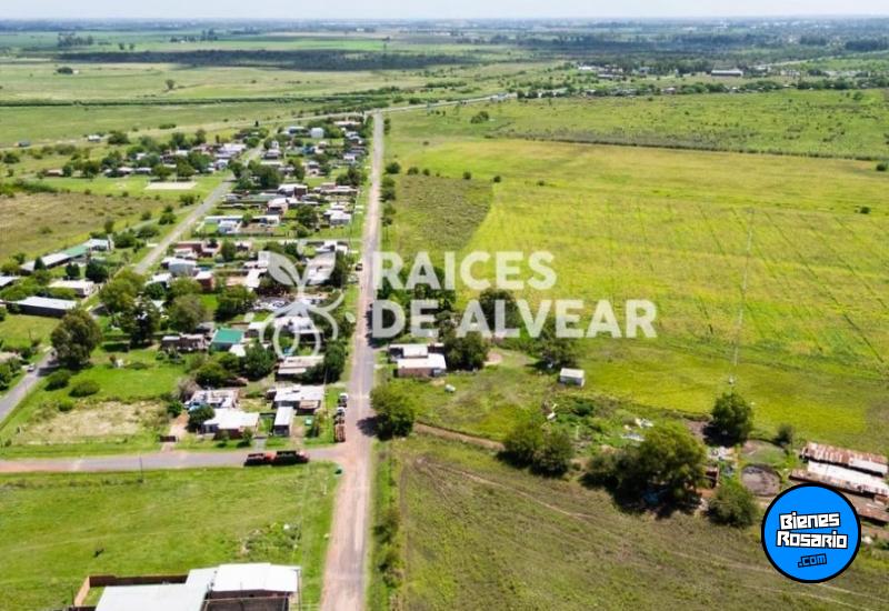 Terrenos - Alvear - Venta