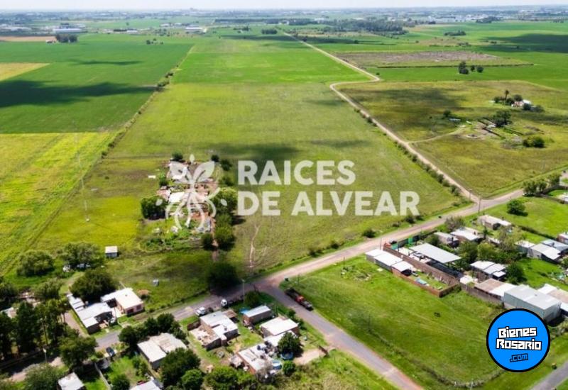 Terrenos - Alvear - Venta