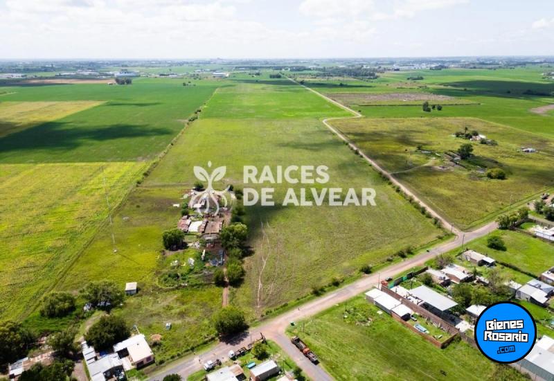Terrenos - Alvear - Venta