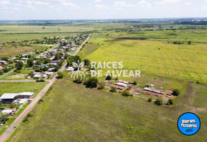 Terrenos - Alvear - Venta