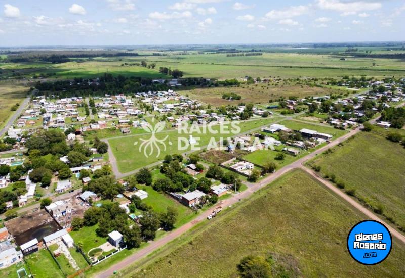 Terrenos - Alvear - Venta