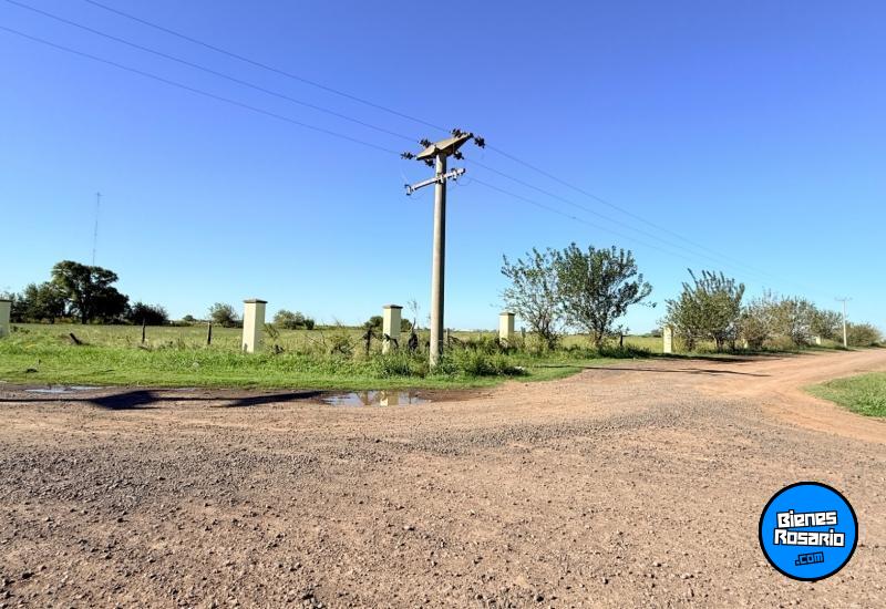 Terrenos - Alvear - Venta